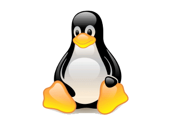 Linux má 25 let